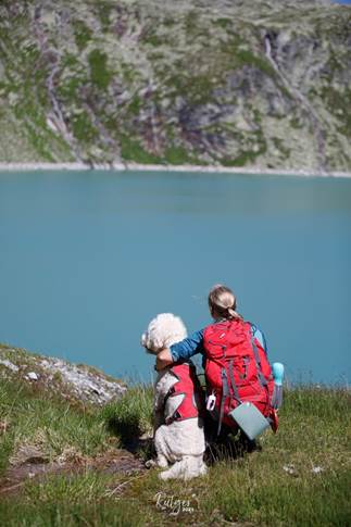 DogMountainExperience week