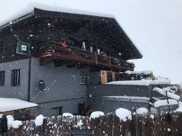 Indeling DogMountainn