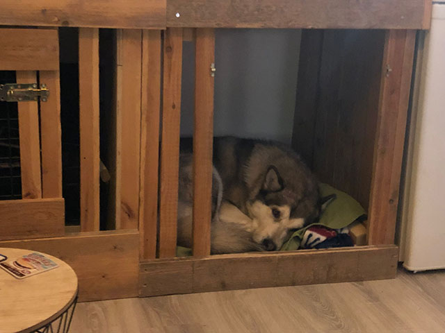 Appartement Kiko></td>
  </tr>
    <tr>
    <td>&nbsp;</td>
  </tr>
  <tr>
    <td align=