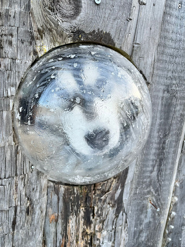 Appartement Kiko></td>
  </tr>
    <tr>
    <td>&nbsp;</td>
  </tr>
  <tr>
    <td align=