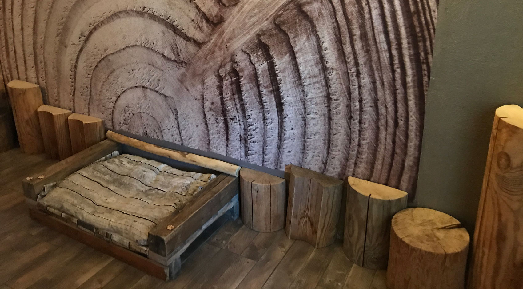 Hondvriendelijke appartementen