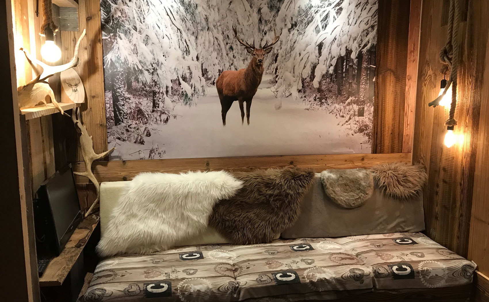 Hondvriendelijke appartementen