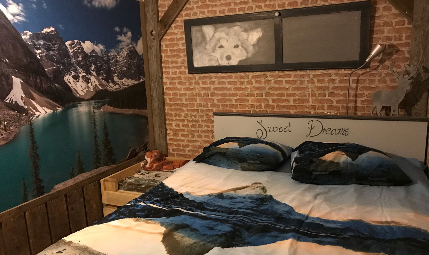 Hondvriendelijke appartementen