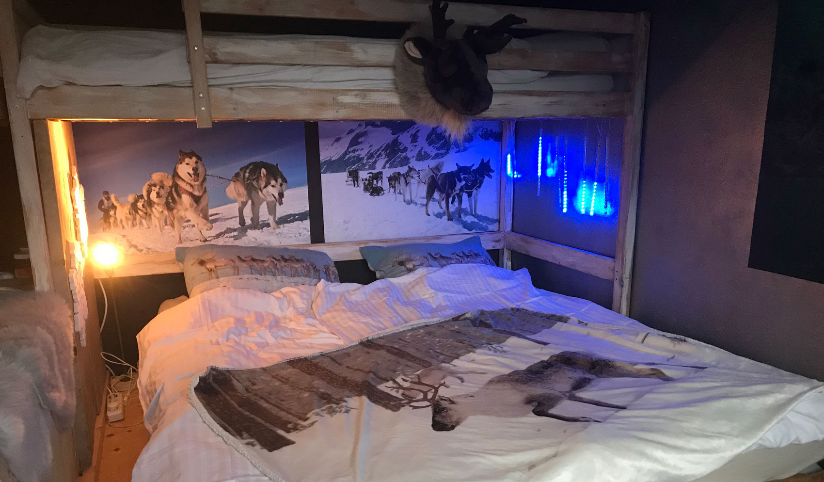 Hondvriendelijke appartementen